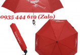 Xưởng cung cấp dù cầm tay in logo giá rẻ tại Quảng Ngãi